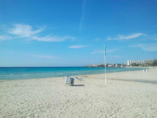 SOLAR EN SA COMA A 7 MINUTOS DE LA PLAYA .